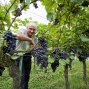 Guy dans le Lot-Garonne