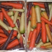 Carotte multicolore